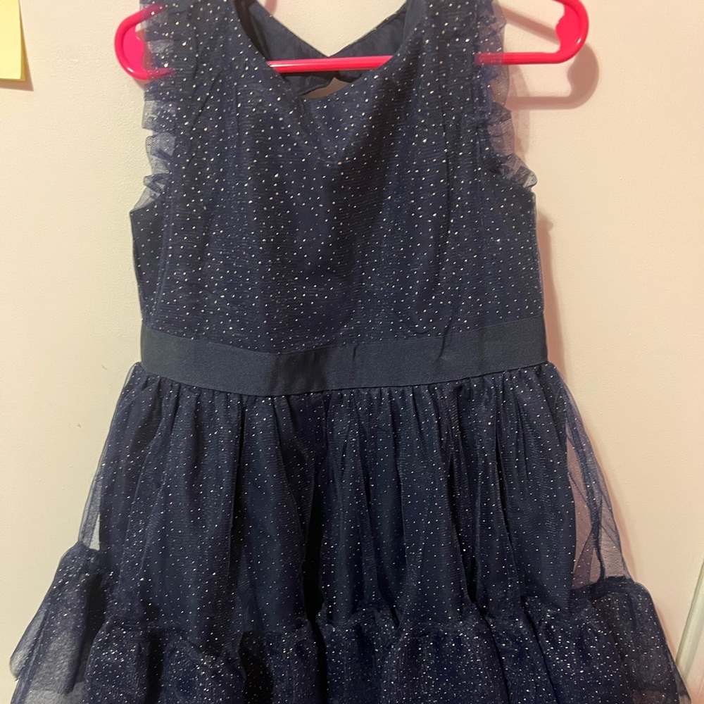 Janie and jack special occasion dress